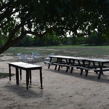 Elephant Lake Yala ティッサマハーラーマ エクステリア 写真