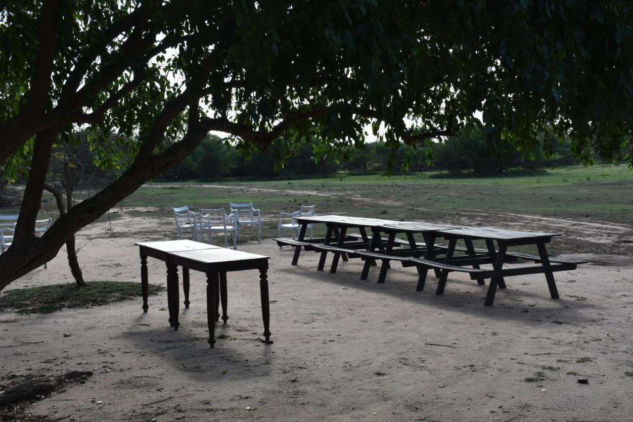Elephant Lake Yala ティッサマハーラーマ エクステリア 写真